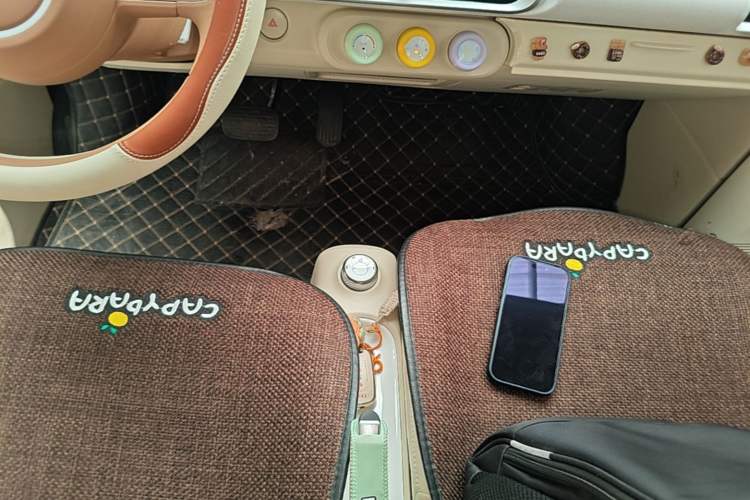 Used Wuling Hongguang MINIEV 2024 3rd Generation 215km Youth Edition Gear Lever