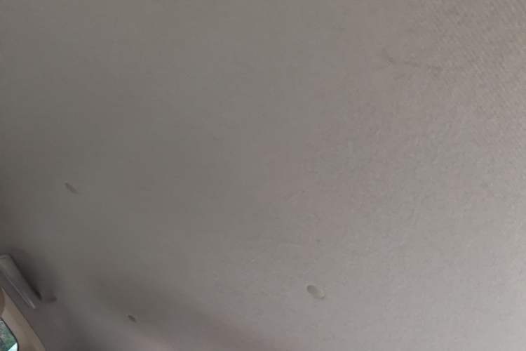 Used Wuling Hongguang MINIEV 2024 3rd Generation 215km Advanced Version Headliner