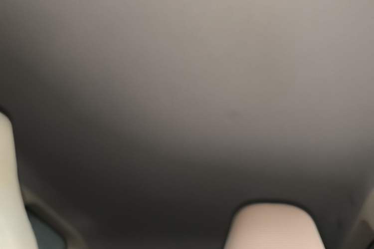 Used Wuling Hongguang MINIEV 2024 3rd Generation 215km Youth Edition Headliner