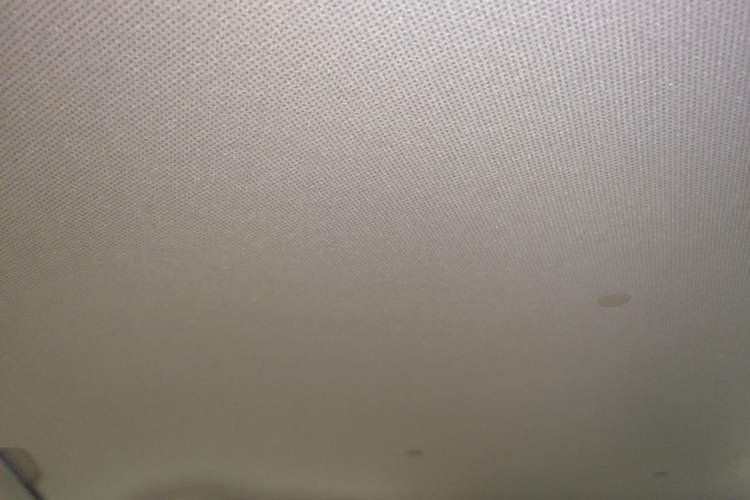 Used Wuling Hongguang MINIEV 2024 3rd Generation 215km Youth Edition Headliner