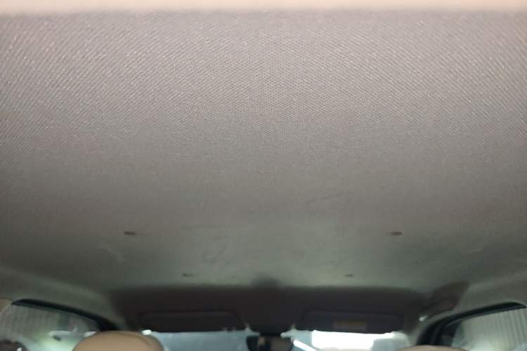 Used Wuling Hongguang MINIEV 2024 3rd Generation 215km Youth Edition Headliner