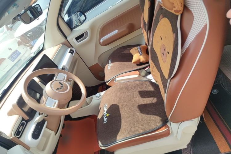 Used Wuling Hongguang MINIEV 2024 3rd Generation 215km Youth Edition Left Front Seat