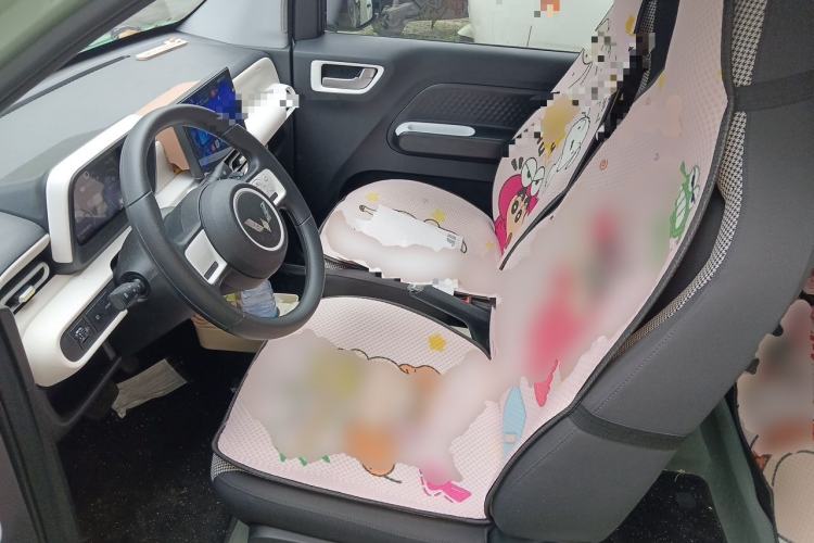Used Wuling Hongguang MINIEV 2024 3rd Generation 215km Youth Edition Left Front Seat