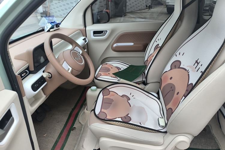 Used Wuling Hongguang MINIEV 2024 3rd Generation 215km Youth Edition Left Front Seat