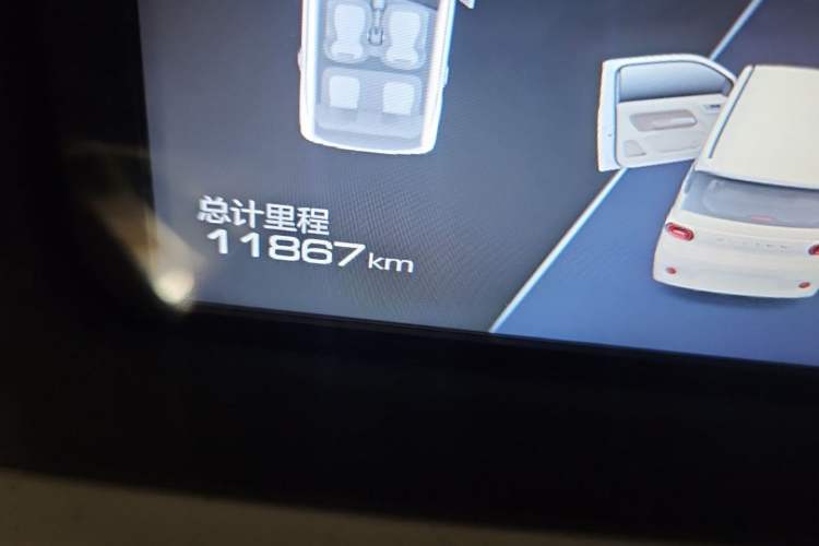 Used Wuling Hongguang MINIEV 2024 3rd Generation 215km Advanced Version Odometer Close Up