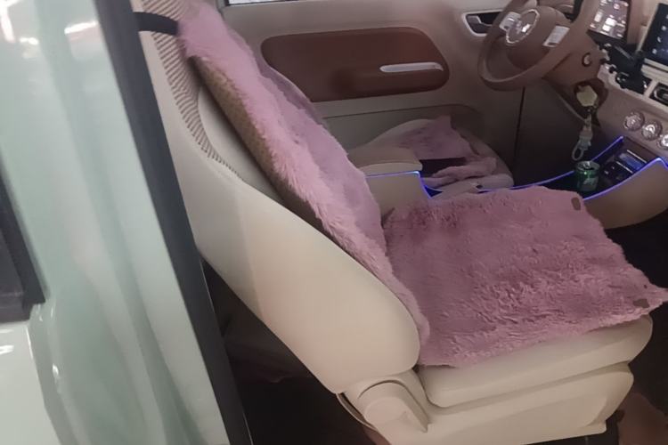 Used Wuling Hongguang MINIEV 2024 3rd Generation 215km Advanced Version Right Front Seat