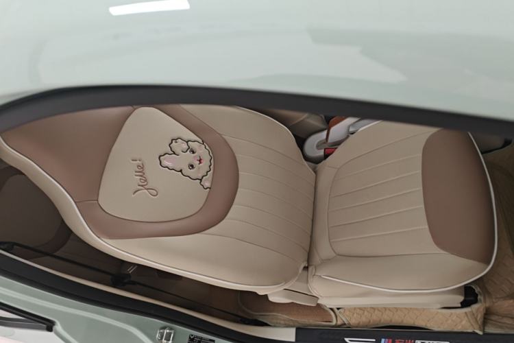 Used Wuling Hongguang MINIEV 2024 3rd Generation 215km Youth Edition Right Front Seat