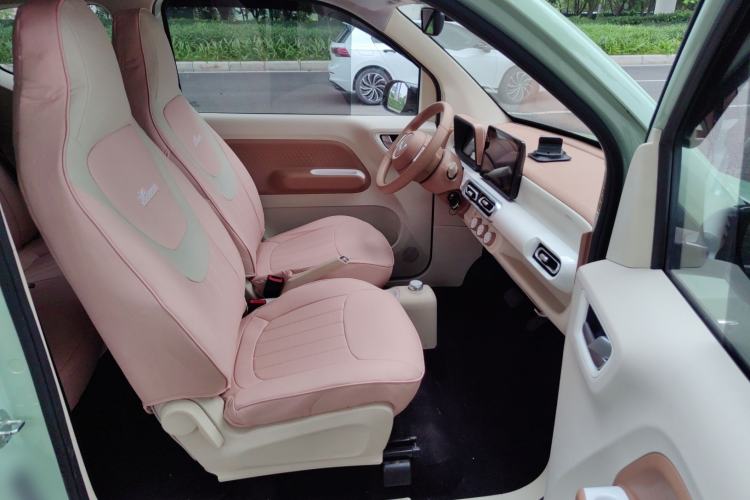Used Wuling Hongguang MINIEV 2024 3rd Generation 215km Youth Edition Right Front Seat