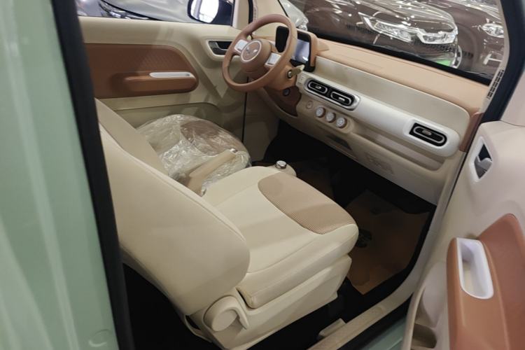 Used Wuling Hongguang MINIEV 2024 3rd Generation 215km Youth Edition Right Front Seat
