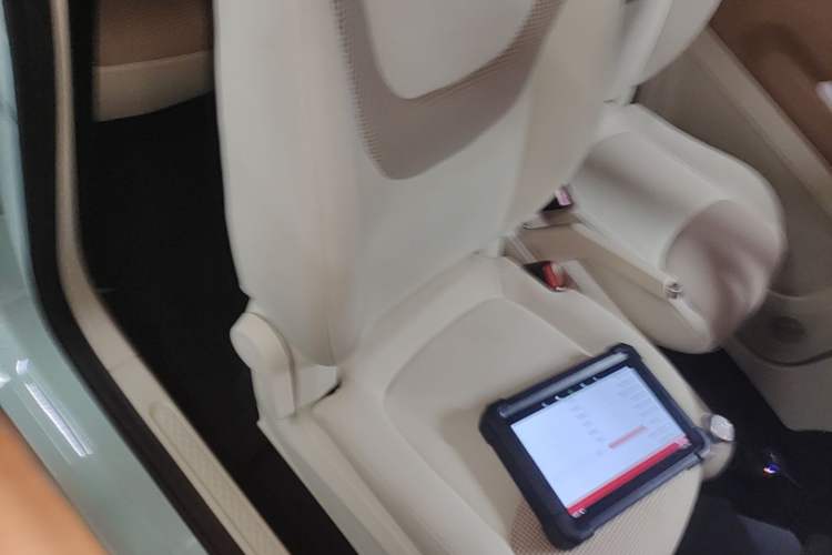 Used Wuling Hongguang MINIEV 2024 3rd Generation 215km Youth Edition Right Front Seat