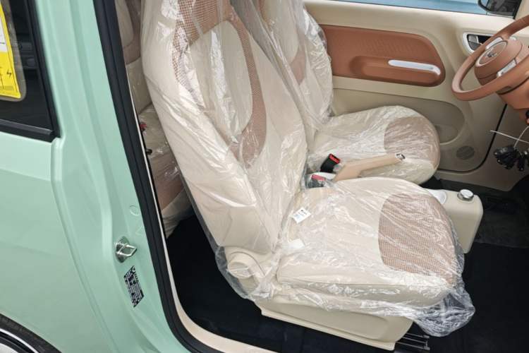 Used Wuling Hongguang MINIEV 2024 3rd Generation 215km Youth Edition Right Front Seat