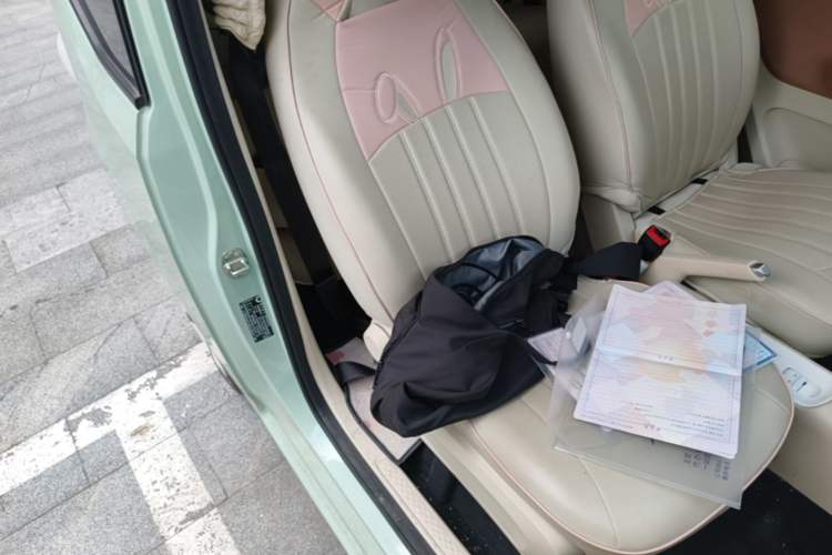 Used Wuling Hongguang MINIEV 2024 3rd Generation 215km Advanced Version Right Front Seat