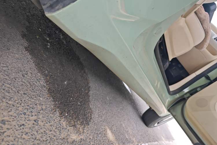 Used Wuling Hongguang MINIEV 2024 3rd Generation 170 km Right Side Sill