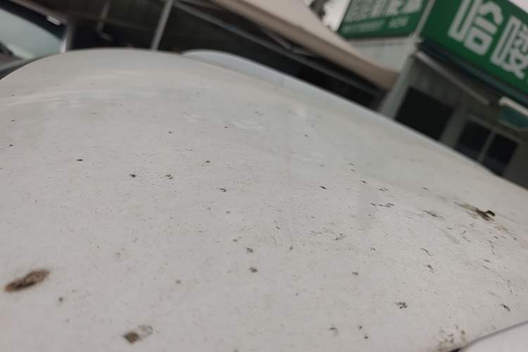 Used Wuling Hongguang MINIEV 2024 3rd Generation 215km Advanced Version Roof