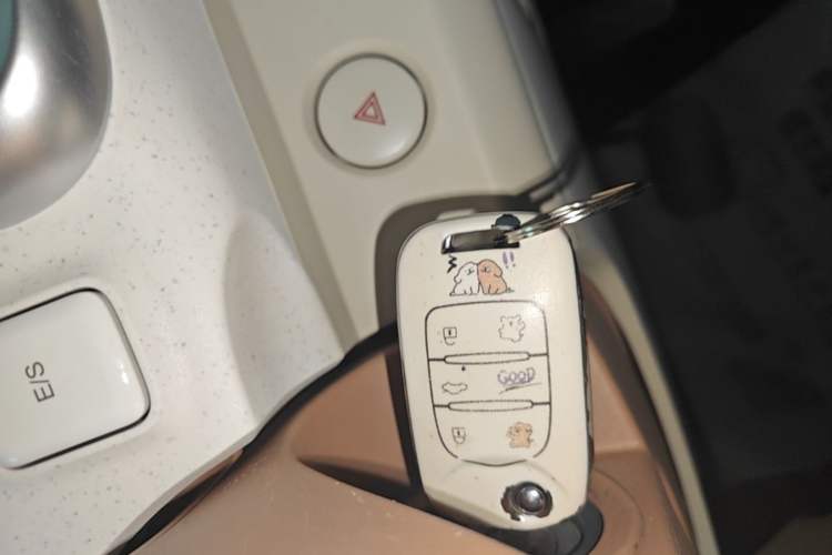 Used Wuling Hongguang MINIEV 2024 3rd Generation 215km Advanced Version Vehicle Key