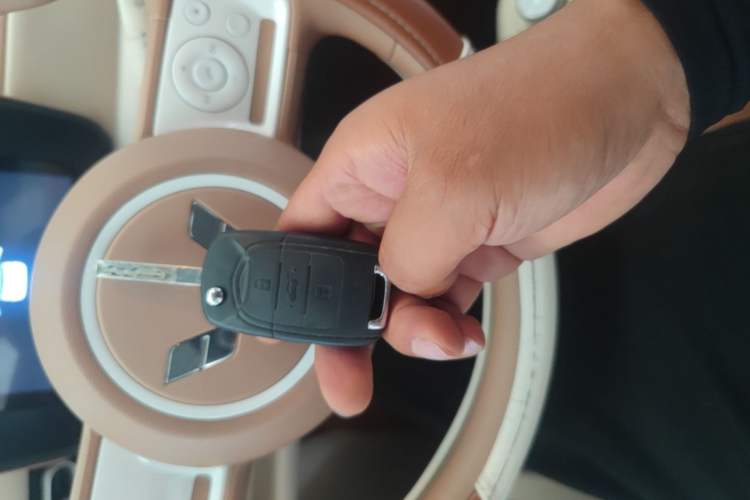 Used Wuling Hongguang MINIEV 2024 3rd Generation 215km Youth Edition Vehicle Key