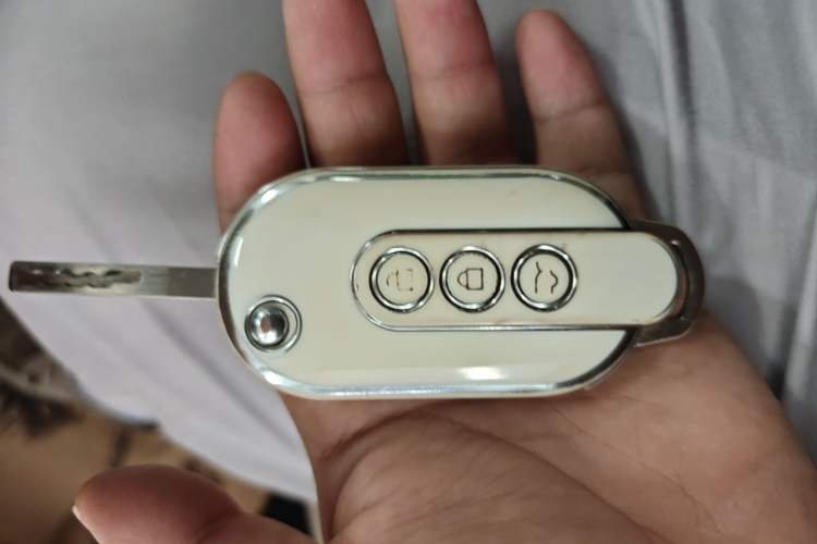 Used Wuling Hongguang MINIEV 2024 3rd Generation 215km Advanced Version Vehicle Key