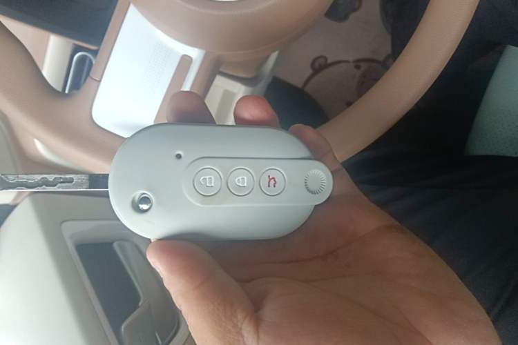 Used Wuling Hongguang MINIEV 2024 3rd Generation 215km Advanced Version Vehicle Key