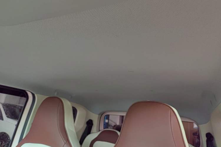 Used Wuling Hongguang MINIEV 2024 3rd Generation 215km Youth Edition Headliner