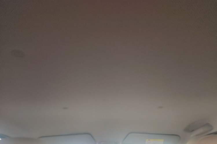 Used Wuling Hongguang MINIEV 2024 3rd Generation 215km Youth Edition Headliner