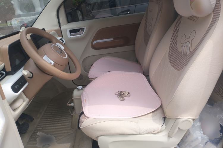 Used Wuling Hongguang MINIEV 2024 3rd Generation 215km Youth Edition Left Front Seat
