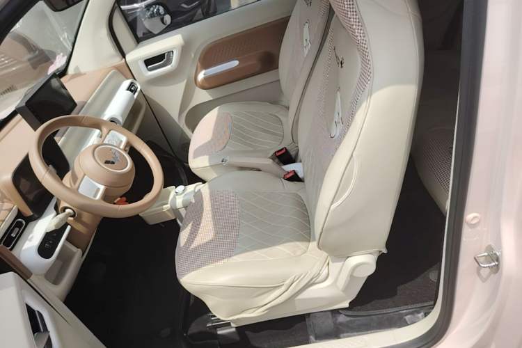 Used Wuling Hongguang MINIEV 2024 3rd Generation 215km Youth Edition Left Front Seat