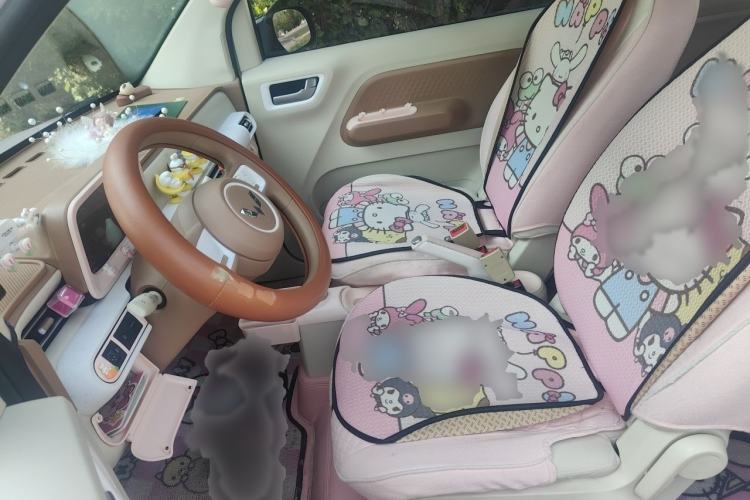 Used Wuling Hongguang MINIEV 2024 3rd Generation 215km Youth Edition Left Front Seat