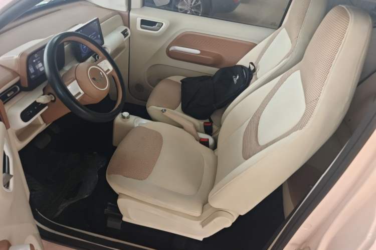 Used Wuling Hongguang MINIEV 2024 3rd Generation 215km Youth Edition Left Front Seat