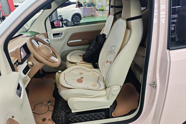 Used Wuling Hongguang MINIEV 2024 3rd Generation 170 km Left Front Seat