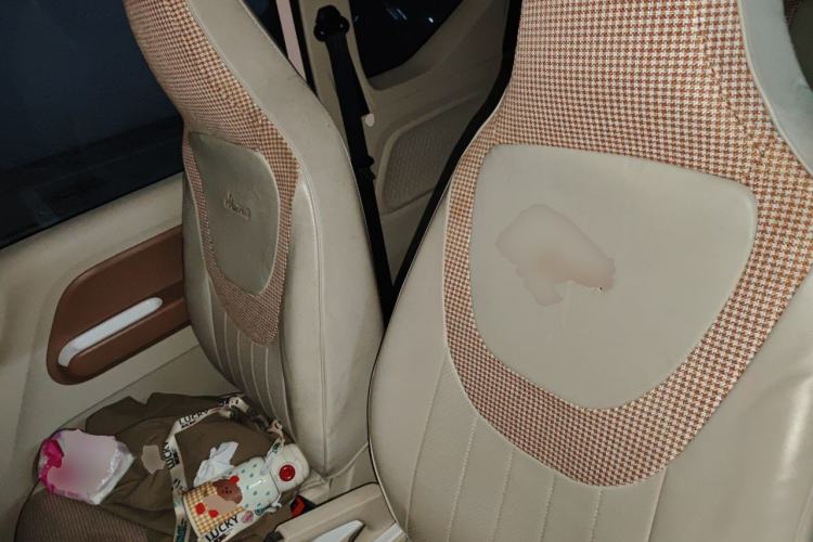 Used Wuling Hongguang MINIEV 2024 3rd Generation 215km Advanced Version Left Front Seat