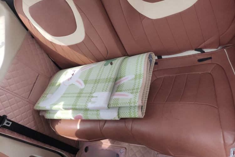 Used Wuling Hongguang MINIEV 2024 3rd Generation 215km Youth Edition Left Rear Seat