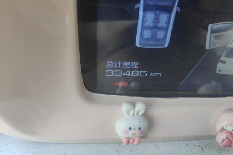 Used Wuling Hongguang MINIEV 2024 3rd Generation 215km Youth Edition Odometer Close Up