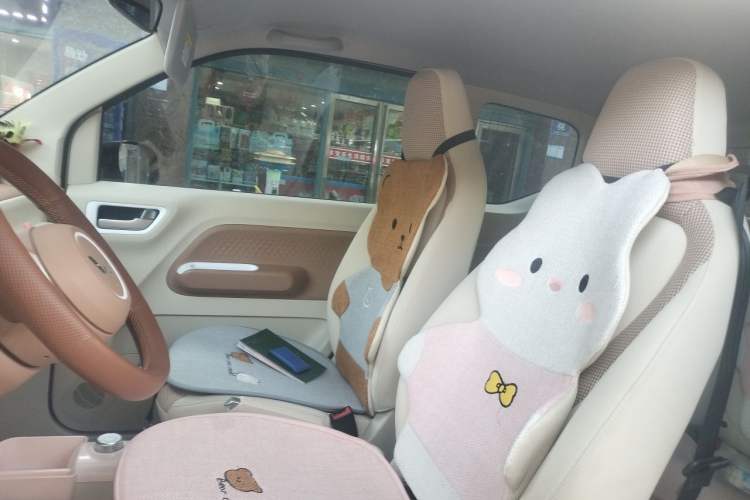 Used Wuling Hongguang MINIEV 2024 3rd Generation 215km Youth Edition Left Front Seat