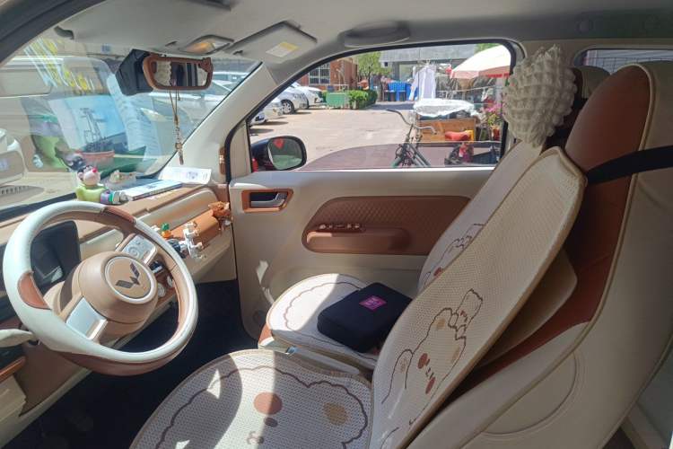 Used Wuling Hongguang MINIEV 2024 3rd Generation 215km Youth Edition Left Front Seat