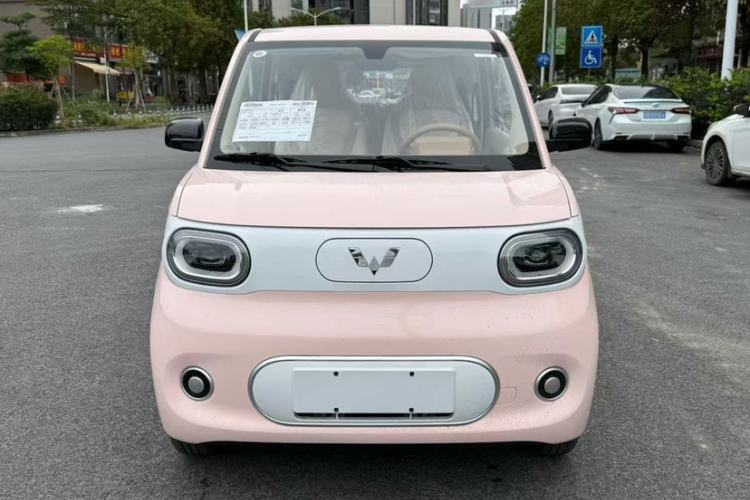 Used Wuling Hongguang MINIEV 2024 3rd Generation 215km Youth Edition Exterior 1