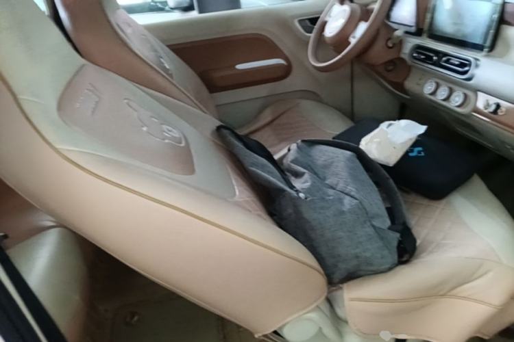Used Wuling Hongguang MINIEV 2024 3rd Generation 215km Advanced Version Right Front Seat