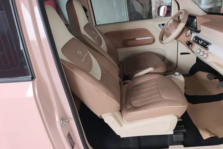 Used Wuling Hongguang MINIEV 2024 3rd Generation 215km Youth Edition Right Front Seat