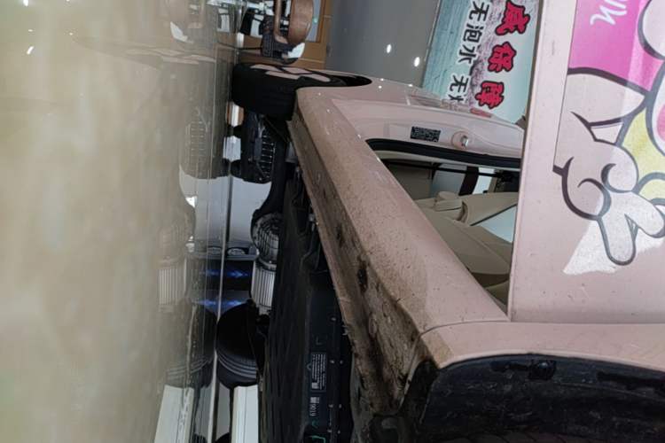 Used Wuling Hongguang MINIEV 2024 3rd Generation 215km Youth Edition Right Side Sill
