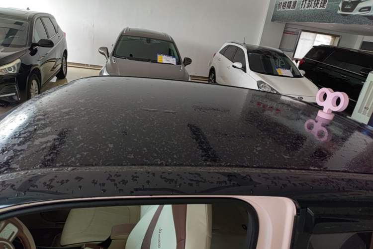 Used Wuling Hongguang MINIEV 2024 3rd Generation 215km Youth Edition Roof