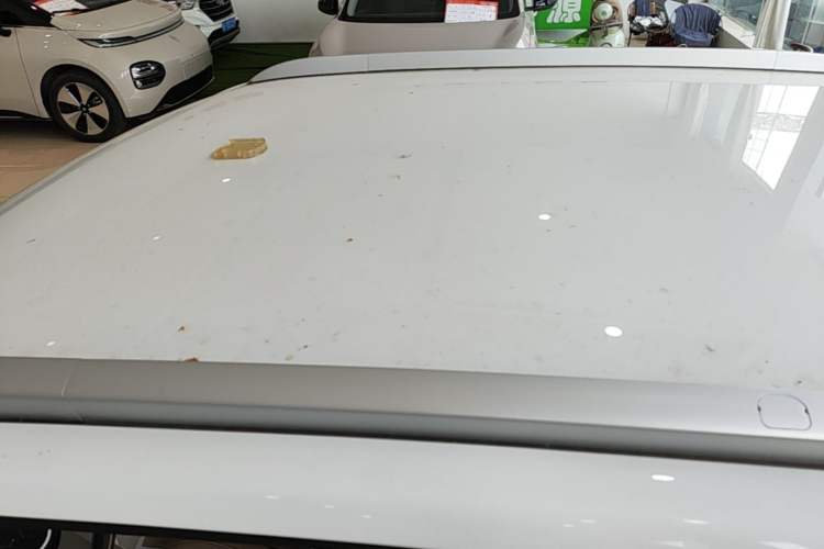 Used Wuling Hongguang MINIEV 2024 3rd Generation 215km Advanced Version Roof