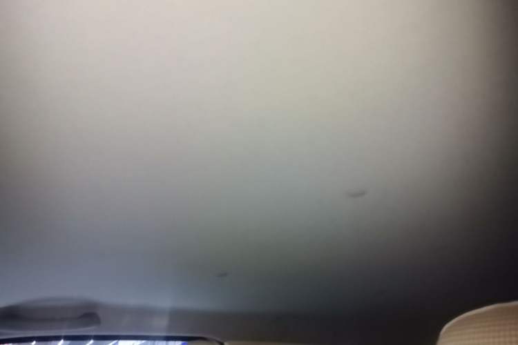 Used Wuling Hongguang MINIEV 2024 3rd Generation 215km Youth Edition Headliner