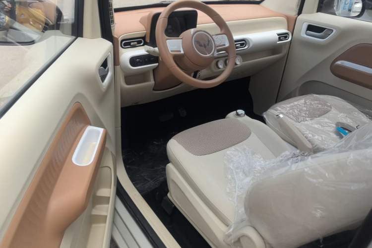 Used Wuling Hongguang MINIEV 2024 3rd Generation 215km Youth Edition Left Front Seat
