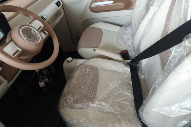 Used Wuling Hongguang MINIEV 2024 3rd Generation 215km Youth Edition Left Front Seat