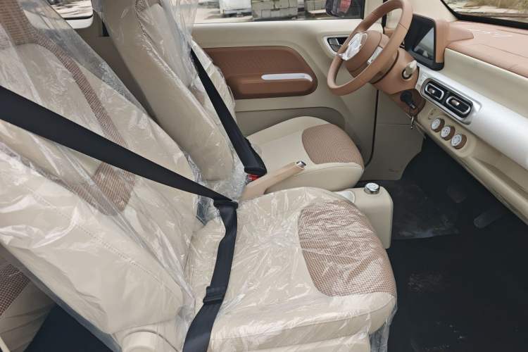 Used Wuling Hongguang MINIEV 2024 3rd Generation 215km Youth Edition Right Front Seat