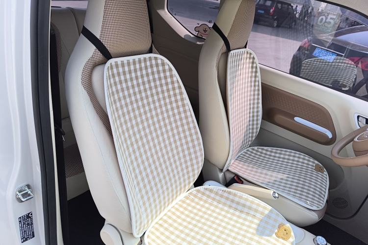 Used Wuling Hongguang MINIEV 2024 3rd Generation 215km Youth Edition Right Front Seat