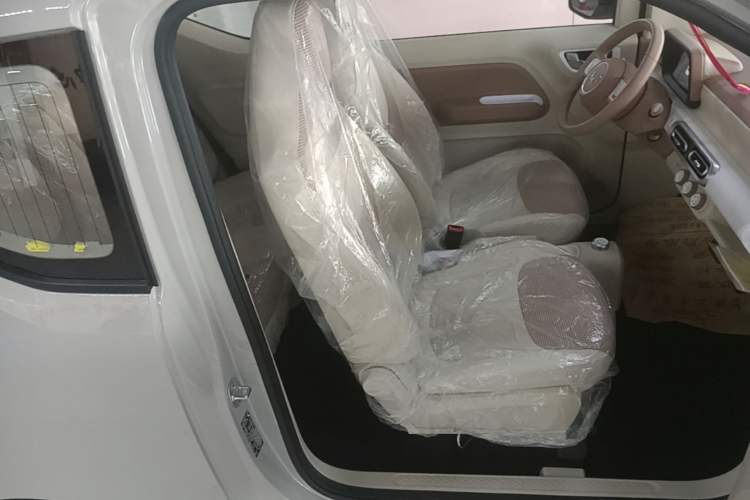 Used Wuling Hongguang MINIEV 2024 3rd Generation 215km Youth Edition Right Front Seat