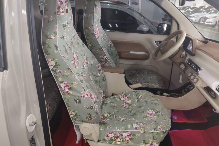 Used Wuling Hongguang MINIEV 2024 3rd Generation 215km Youth Edition Right Front Seat