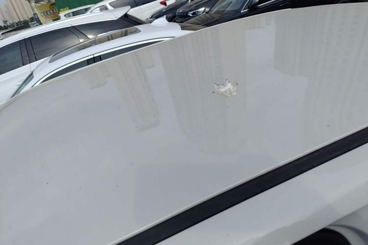 Used Wuling Hongguang MINIEV 2024 3rd Generation 215km Youth Edition Roof