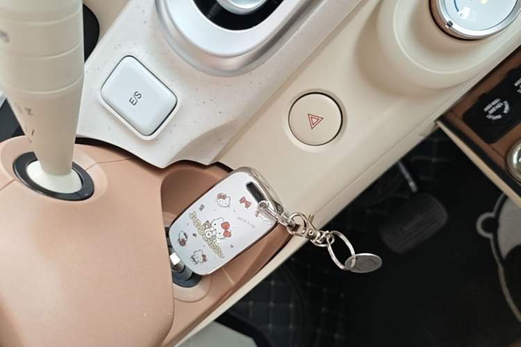 Used Wuling Hongguang MINIEV 2024 3rd Generation 215km Youth Edition Vehicle Key