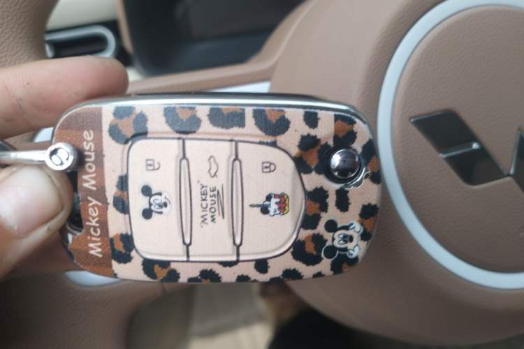 Used Wuling Hongguang MINIEV 2024 3rd Generation 215km Youth Edition Vehicle Key